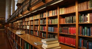 Las 500 novelas mas famosas del siglo XX. Cicutadry