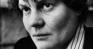 Bajo la red. Irish Murdoch. Reseña de Cicutadry