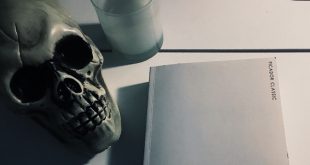 American Psycho, de Bret Easton Ellis. Reseña de Cicutadry