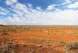 Desierto australiano