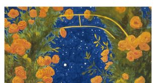 Destacada La puerta de las estrellas