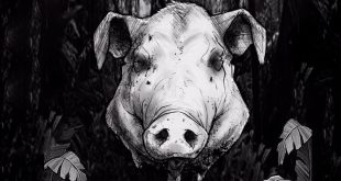 El señor de las moscas, de William Golding